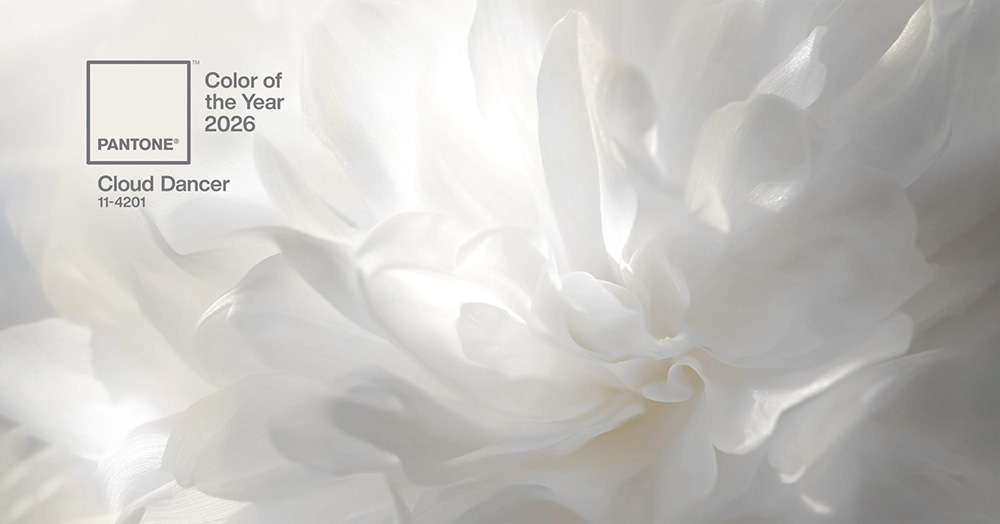 بهترین پیشنهاد ها برای ست کردن رنگ لباس با رنگ سال 2026 8 نمایش طیف رنگی سفید ابری در گلبرگ گل منتخب رنگ سال 2026